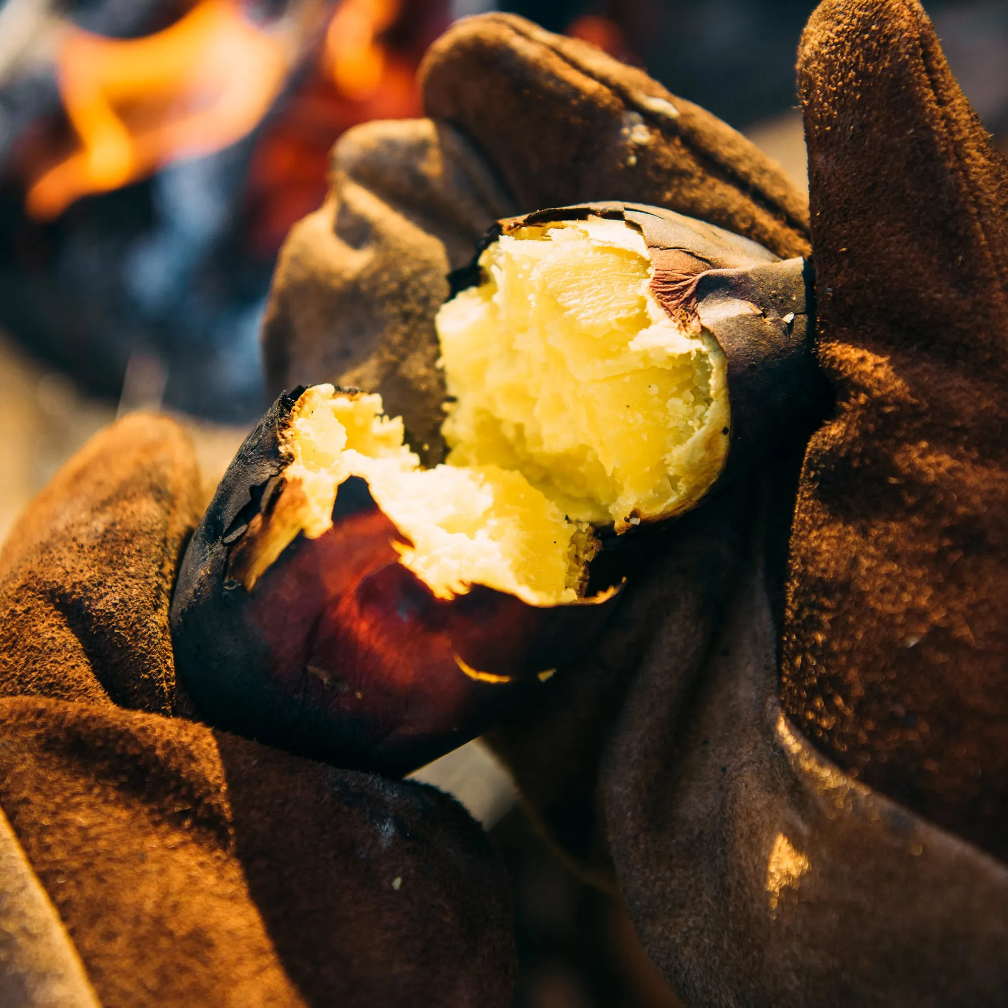 Fireside Gloves